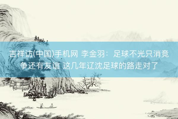 吉祥访(中国)手机网 李金羽：足球不光只消竞争还有友谊 这几年辽沈足球的路走对了