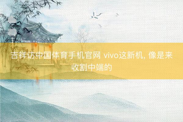 吉祥访中国体育手机官网 vivo这新机, 像是来收割中端的