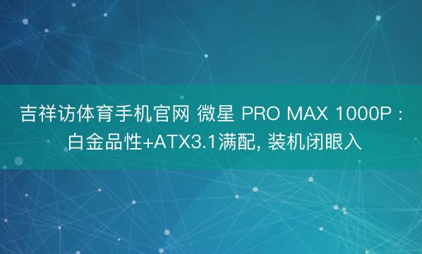 吉祥访体育手机官网 微星 PRO MAX 1000P : 白金品性+ATX3.1满配， 装机闭眼入