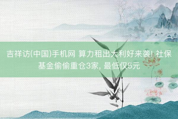 吉祥访(中国)手机网 算力租出大利好来袭! 社保基金偷偷重仓3家， 最低仅5元
