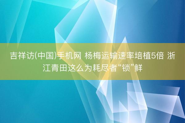 吉祥访(中国)手机网 杨梅运输速率培植5倍 浙江青田这么为耗尽者“锁”鲜