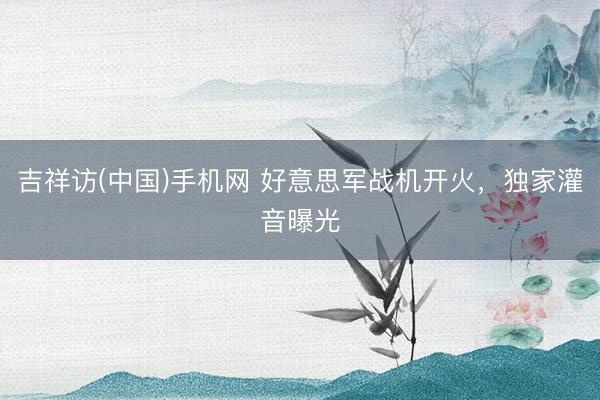 吉祥访(中国)手机网 好意思军战机开火，独家灌音曝光