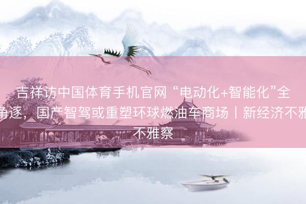 吉祥访中国体育手机官网 “电动化+智能化”全面角逐,国产智驾或重塑环球燃油车商场丨新经济不雅察