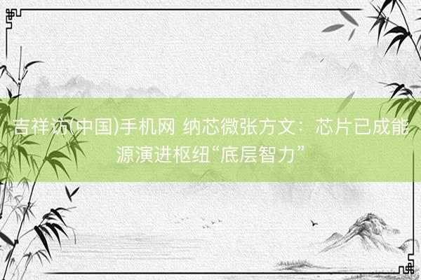 吉祥访(中国)手机网 纳芯微张方文:芯片已成能源演进枢纽“底层智力”
